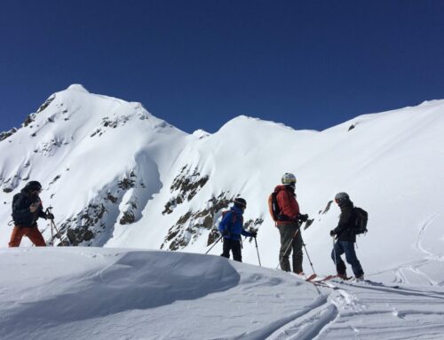 Freeride course "Powder and Glory"