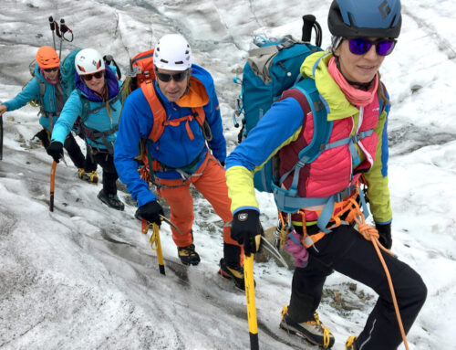 Basic course mountaineering rock and ice Bernina with comfort