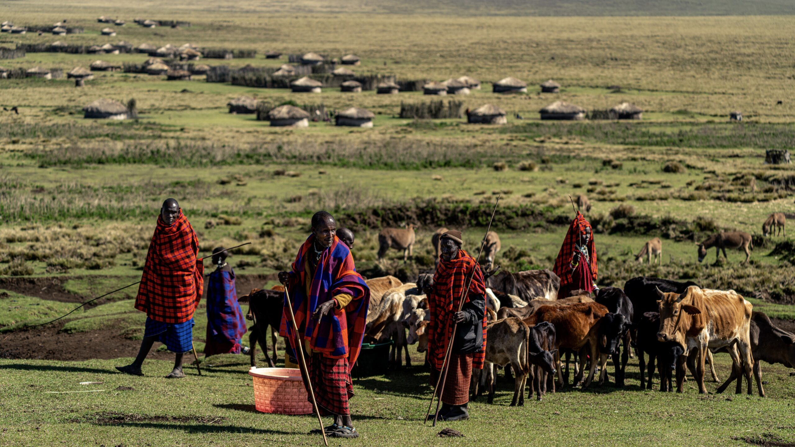 Maasai Trekking
