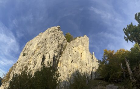Jurassic rocks in the Danube valley