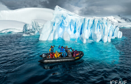 Skitouren Antarktis Ocean Albatros