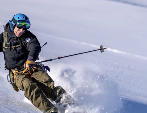 Ski Freeride Tagestour „best of Powder“ Swiss alps